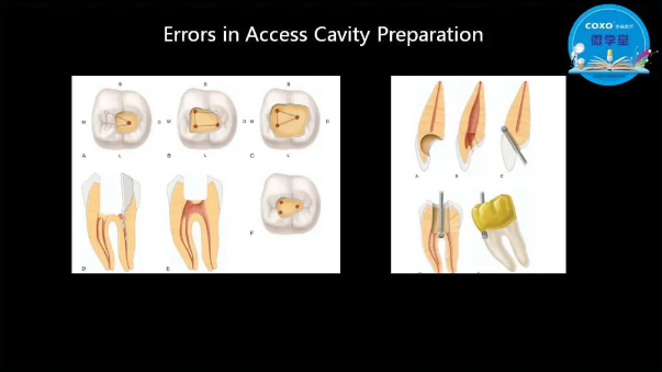 (第二十五期)微學堂回顧 (第二十五期)微學堂回顧