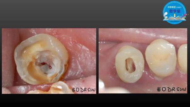 (第二十五期)微學堂回顧 (第二十五期)微學堂回顧