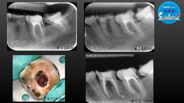 (第二十五期)微學堂回顧 (第二十五期)微學堂回顧