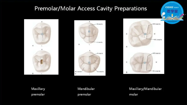(第二十五期)微學堂回顧 (第二十五期)微學堂回顧