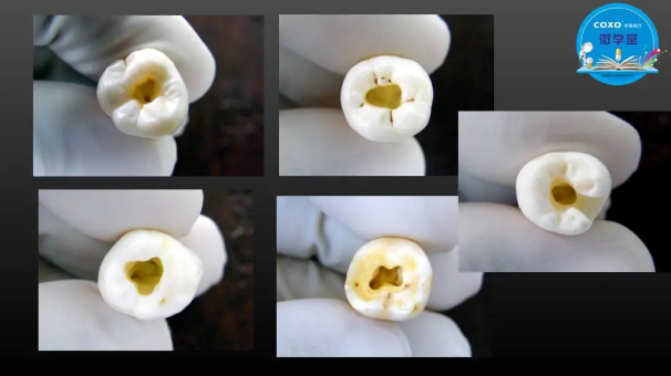 (第二十五期)微學堂回顧 (第二十五期)微學堂回顧