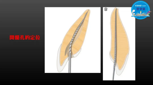 (第二十五期)微學堂回顧 (第二十五期)微學堂回顧