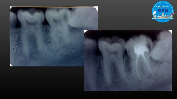 (第二十五期)微學堂回顧 (第二十五期)微學堂回顧