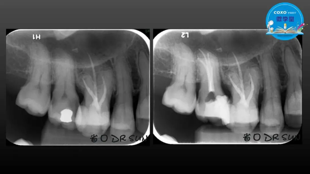 (第二十五期)微學堂回顧 (第二十五期)微學堂回顧