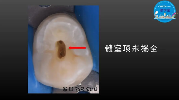 (第二十五期)微學堂回顧 (第二十五期)微學堂回顧