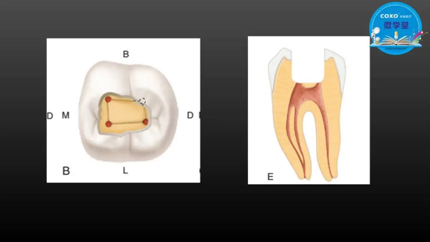 (第二十五期)微學堂回顧 (第二十五期)微學堂回顧