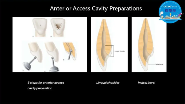 (第二十五期)微學堂回顧 (第二十五期)微學堂回顧