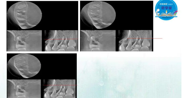 (第二十五期)微學堂回顧 (第二十五期)微學堂回顧