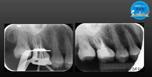 (第二十五期)微學堂回顧 (第二十五期)微學堂回顧