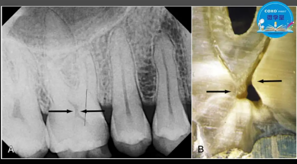 (第二十五期)微學堂回顧 (第二十五期)微學堂回顧