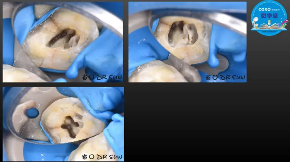(第二十五期)微學堂回顧 (第二十五期)微學堂回顧