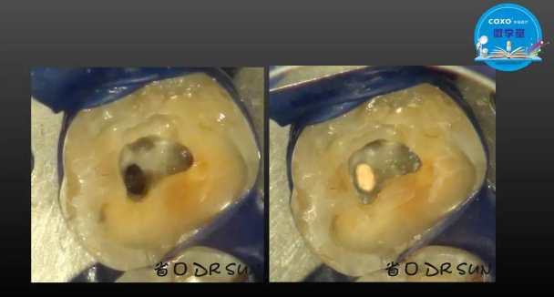 (第二十五期)微學堂回顧 (第二十五期)微學堂回顧