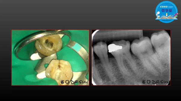(第二十五期)微學堂回顧 (第二十五期)微學堂回顧