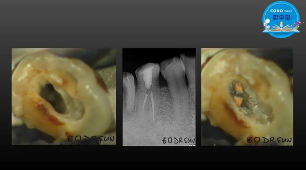 (第二十五期)微學堂回顧 (第二十五期)微學堂回顧