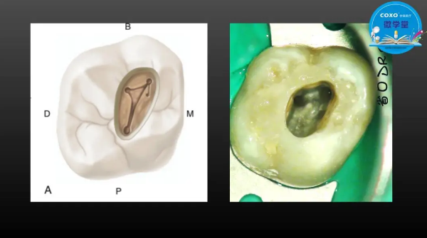 (第二十五期)微學堂回顧 (第二十五期)微學堂回顧