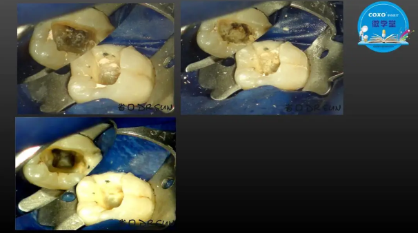 (第二十五期)微學堂回顧 (第二十五期)微學堂回顧