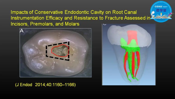 (第二十五期)微學堂回顧 (第二十五期)微學堂回顧