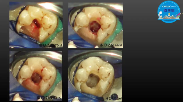 (第二十五期)微學堂回顧 (第二十五期)微學堂回顧