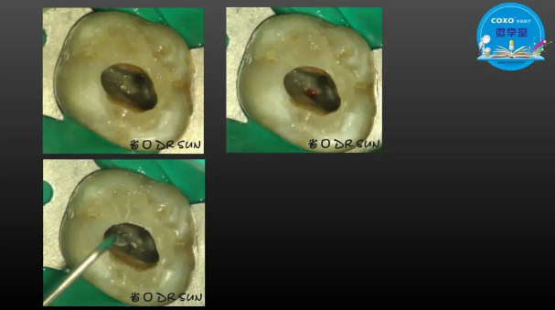 (第二十五期)微學堂回顧 (第二十五期)微學堂回顧
