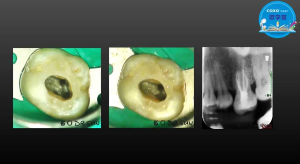 (第二十五期)微學堂回顧 (第二十五期)微學堂回顧