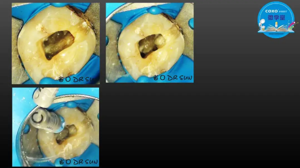 (第二十五期)微學堂回顧 (第二十五期)微學堂回顧