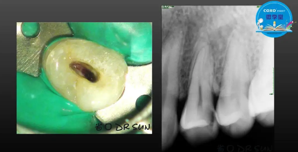(第二十五期)微學堂回顧 (第二十五期)微學堂回顧