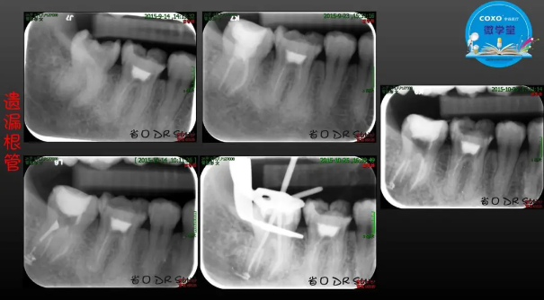 (第二十五期)微學堂回顧 (第二十五期)微學堂回顧