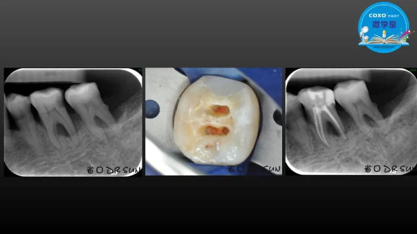 (第二十五期)微學堂回顧 (第二十五期)微學堂回顧