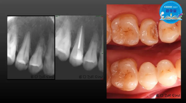 (第二十五期)微學堂回顧 (第二十五期)微學堂回顧