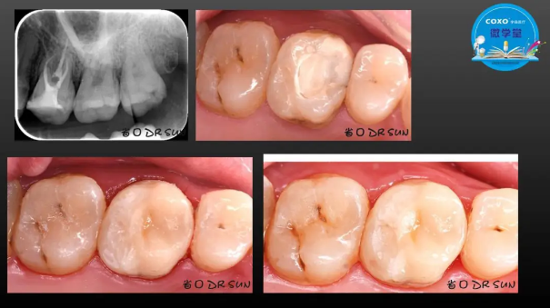 (第二十五期)微學堂回顧 (第二十五期)微學堂回顧