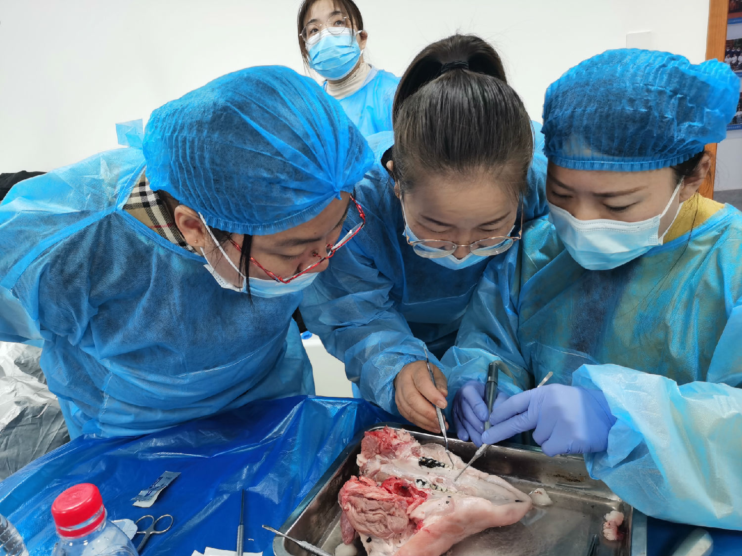 張東星老師蘭州微創(chuàng)拔牙課學(xué)員實操 張東星老師蘭州微創(chuàng)拔牙課學(xué)員實操