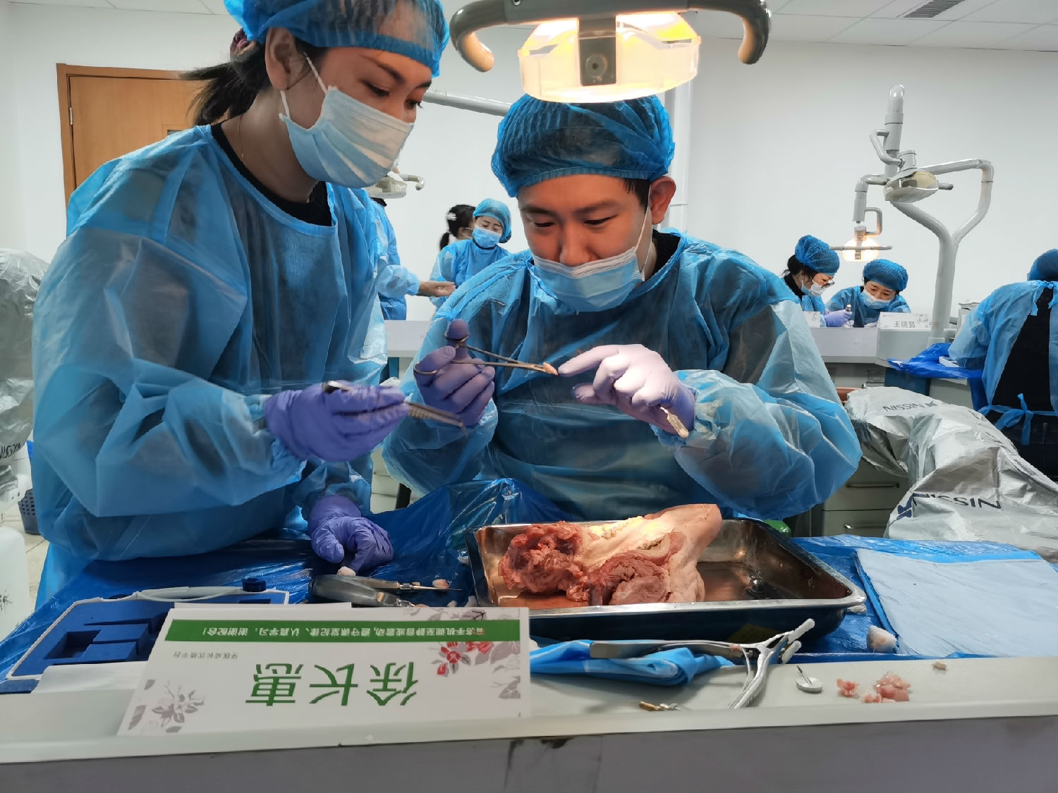 張東星老師蘭州微創(chuàng)拔牙課學(xué)員實操 張東星老師蘭州微創(chuàng)拔牙課學(xué)員實操