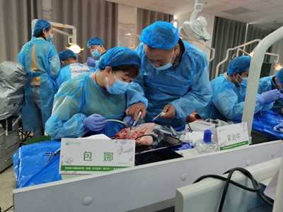 張東星老師蘭州微創(chuàng)拔牙課牙醫(yī)實操 張東星老師蘭州微創(chuàng)拔牙課牙醫(yī)實操