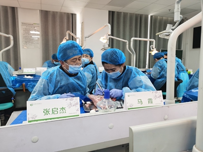 張東星老師蘭州微創(chuàng)拔牙課牙醫(yī)實操 張東星老師蘭州微創(chuàng)拔牙課牙醫(yī)實操