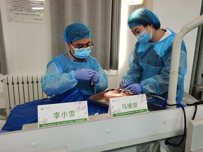 張東星老師蘭州微創(chuàng)拔牙課牙醫(yī)實操 張東星老師蘭州微創(chuàng)拔牙課牙醫(yī)實操