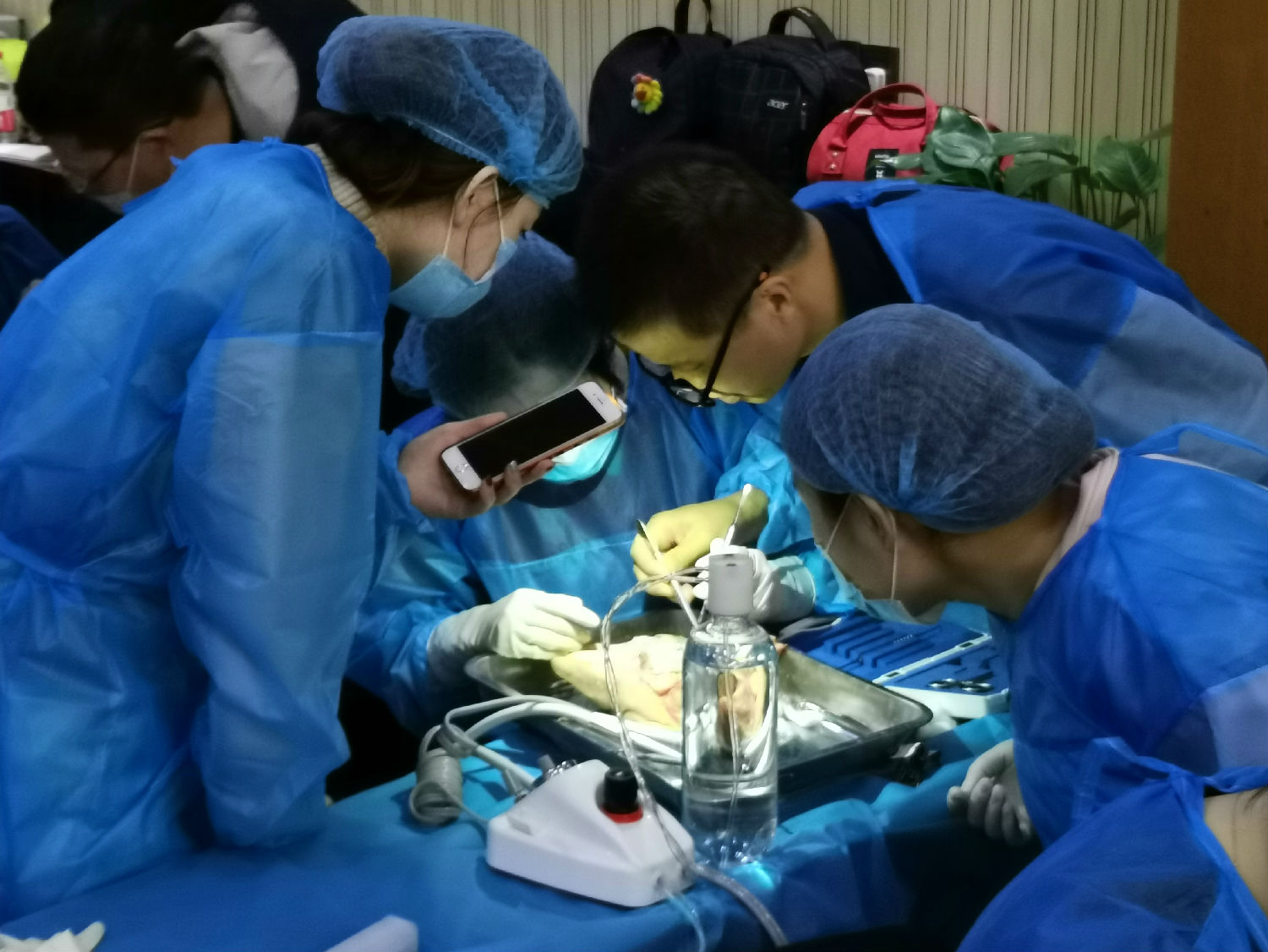 張東星老師北京微創(chuàng)拔牙課實(shí)操展示 張東星老師北京微創(chuàng)拔牙課實(shí)操展示