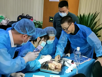 張東星老師北京微創(chuàng)拔牙課實(shí)操展示 張東星老師北京微創(chuàng)拔牙課實(shí)操展示