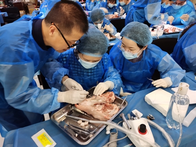 張東星老師北京微創(chuàng)拔牙課實(shí)操展示 張東星老師北京微創(chuàng)拔牙課實(shí)操展示