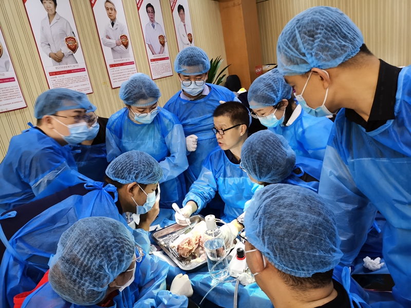 張東星老師北京微創(chuàng)拔牙課實(shí)操展示 張東星老師北京微創(chuàng)拔牙課實(shí)操展示