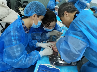 張東星老師上海微創(chuàng)拔牙實(shí)操風(fēng)采 張東星老師上海微創(chuàng)拔牙實(shí)操風(fēng)采