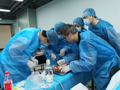 張東星老師上海微創(chuàng)拔牙實(shí)操風(fēng)采 張東星老師上海微創(chuàng)拔牙實(shí)操風(fēng)采