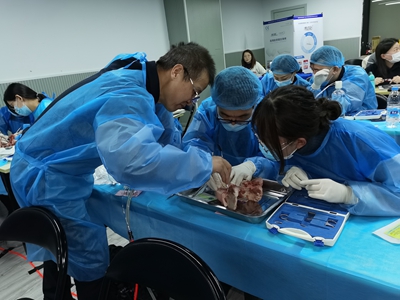 張東星老師上海微創(chuàng)拔牙實(shí)操風(fēng)采 張東星老師上海微創(chuàng)拔牙實(shí)操風(fēng)采