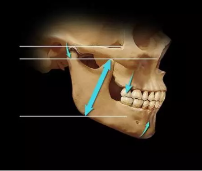 如何利用垂直距離解決好臨床問題 如何利用垂直距離解決好臨床問題