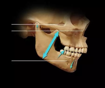 如何利用垂直距離解決好臨床問題 如何利用垂直距離解決好臨床問題