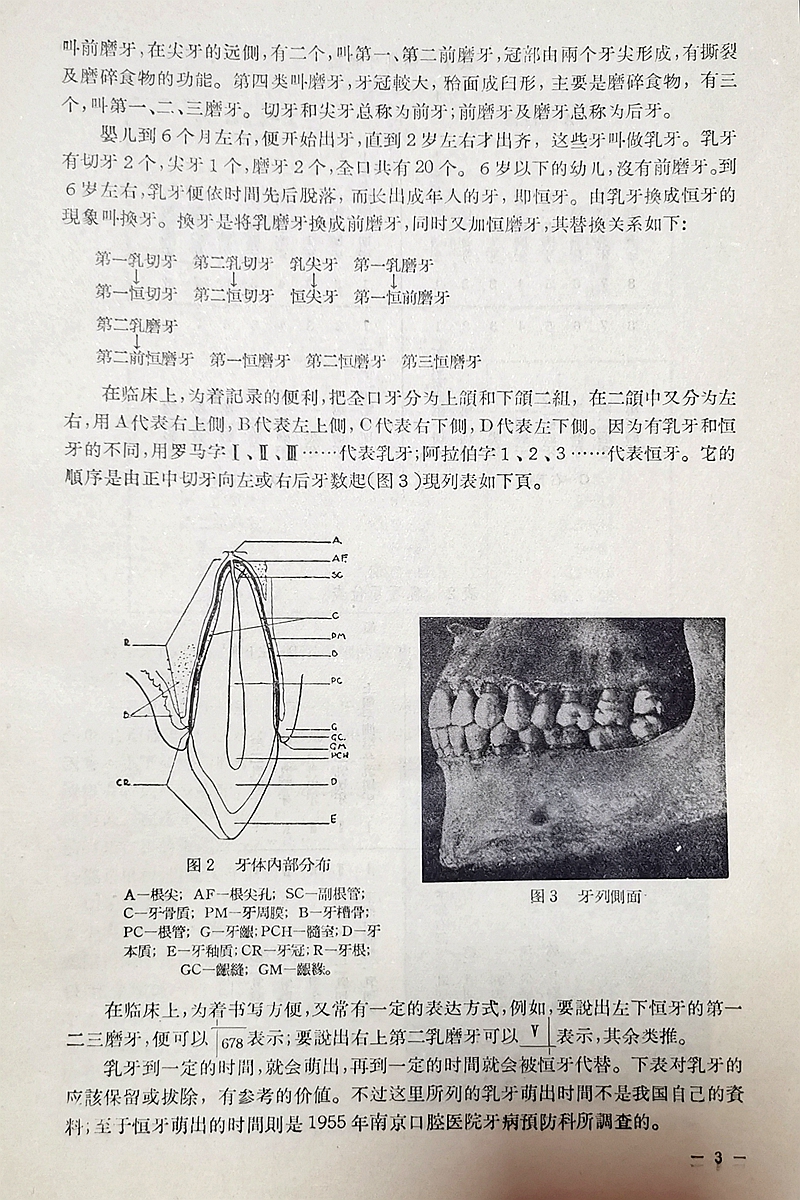 18891175663b8a17a44306198fa4247.jpg 18891175663b8a17a44306198fa4247.jpg