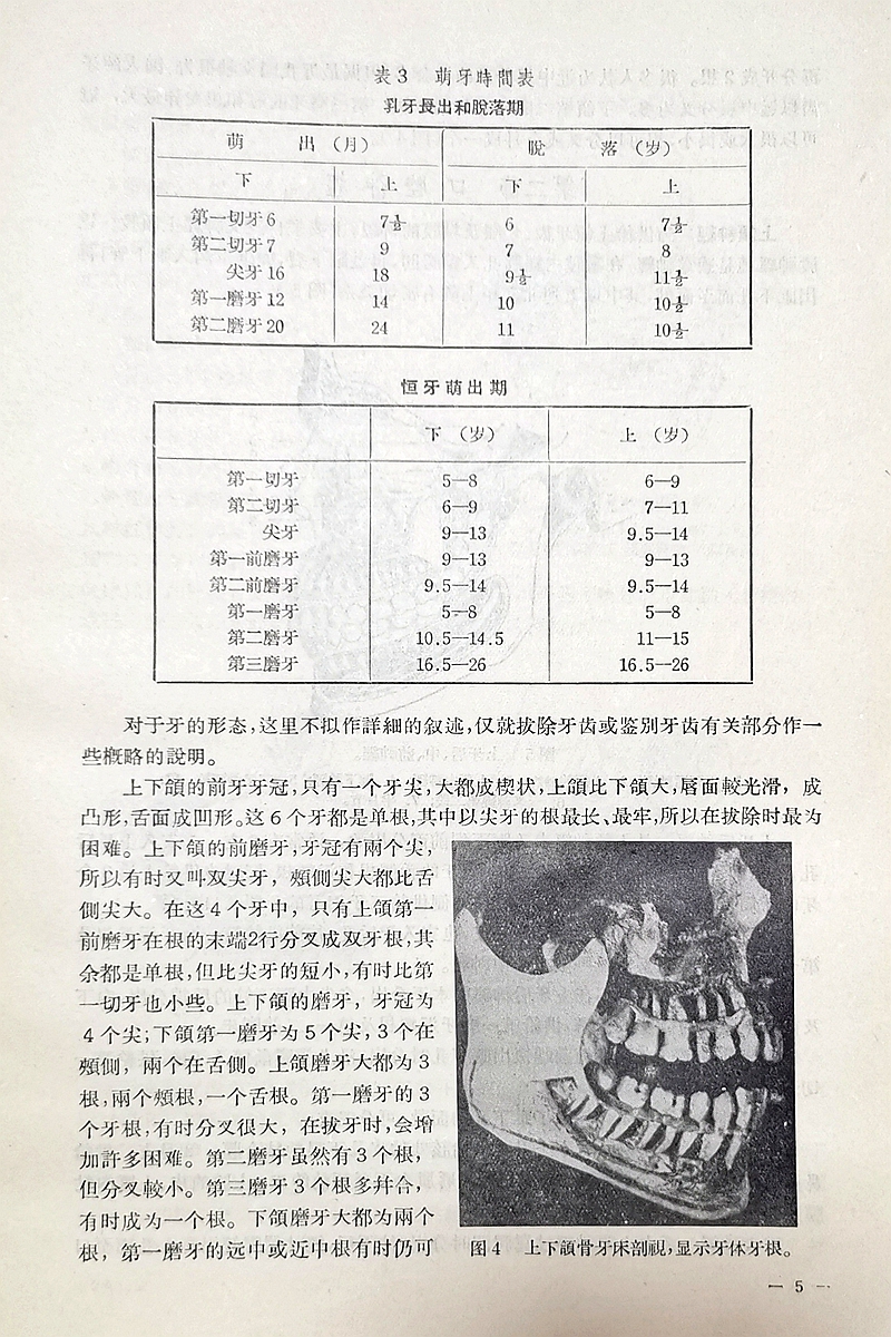 實(shí)用拔牙學(xué)——主編一級(jí)教授陳華 實(shí)用拔牙學(xué)——主編一級(jí)教授陳華