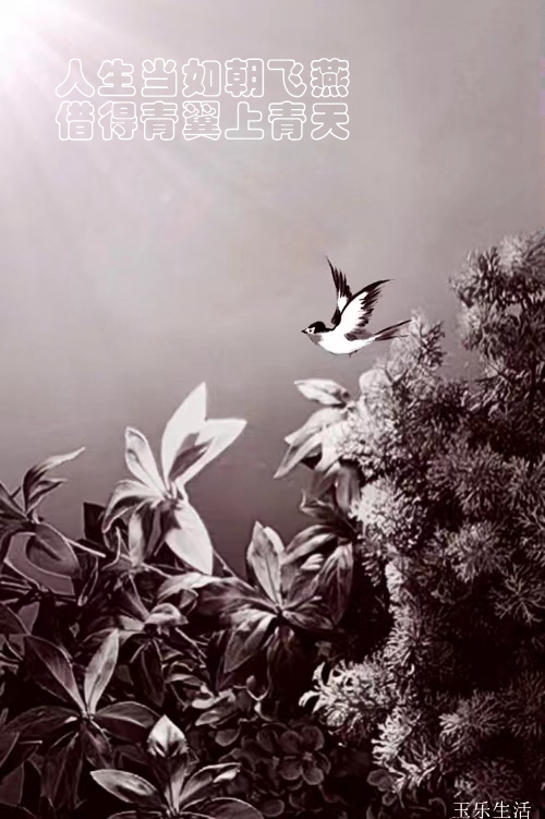 實用百科 實用百科