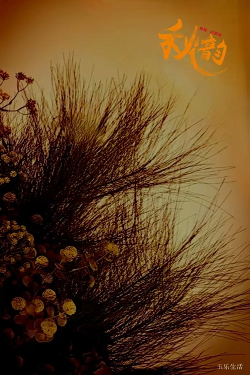 外國歌曲 外國歌曲