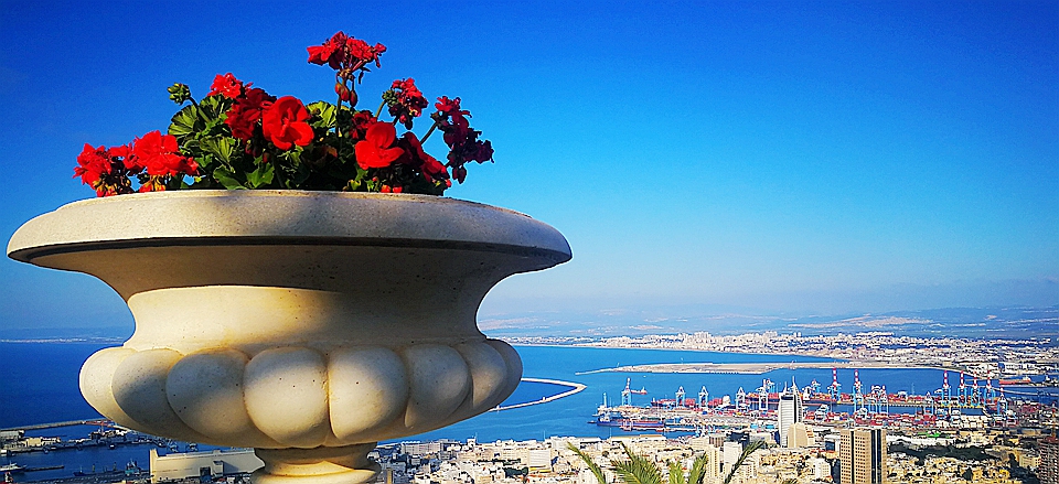 牙醫(yī)必備緩解頸椎疲勞按摩器 爽肩寶按摩披肩 牙醫(yī)必備緩解頸椎疲勞按摩器 爽肩寶按摩披肩