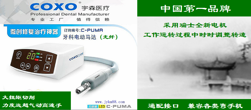 宇森電動(dòng)馬達(dá) 宇森電動(dòng)馬達(dá)